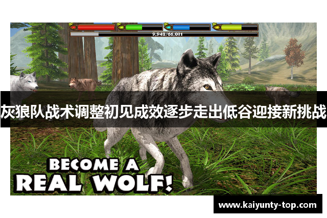 灰狼队战术调整初见成效逐步走出低谷迎接新挑战