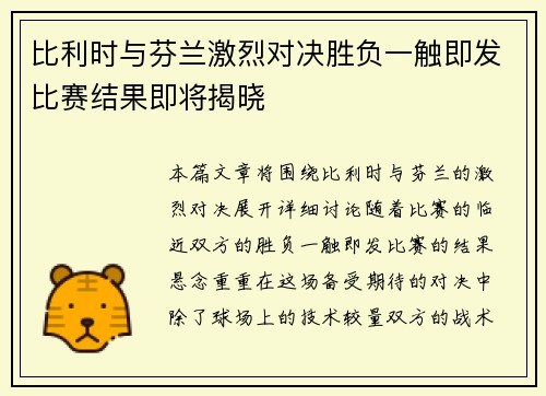 比利时与芬兰激烈对决胜负一触即发比赛结果即将揭晓