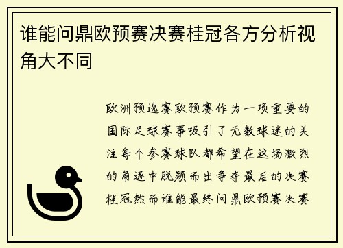 谁能问鼎欧预赛决赛桂冠各方分析视角大不同
